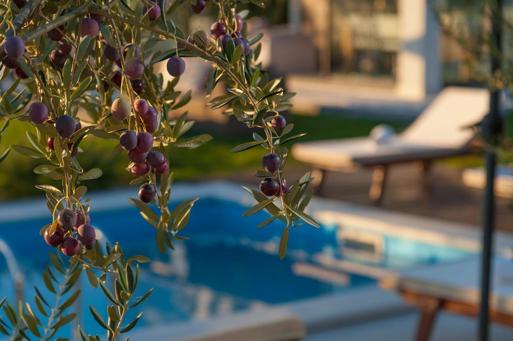 Luxury Villa Luminosa Split Bagian luar foto